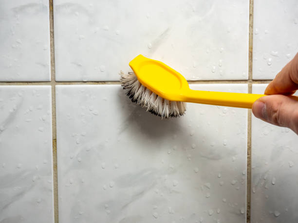 Best Professional Mold Removal  in Wailua Homesteads, HI