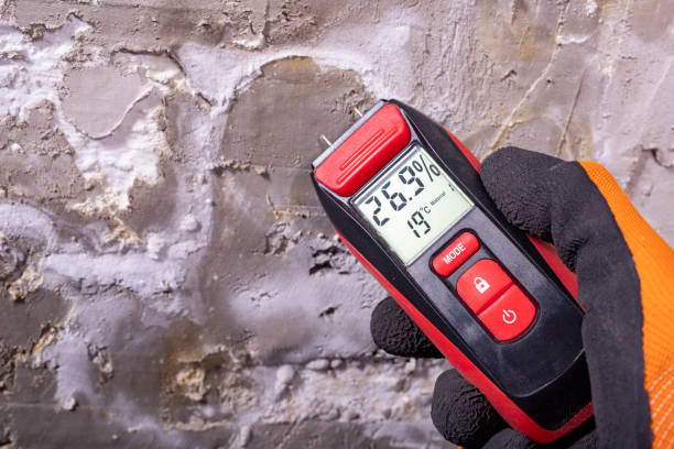 Mold Testing and Removal in Wailua Homesteads, HI