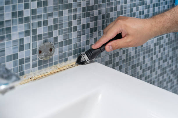 Best Emergency Mold Removal  in Wailua Homesteads, HI