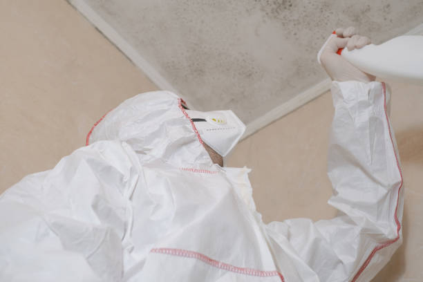 Crawl Space Mold Removal in Wailua Homesteads, HI