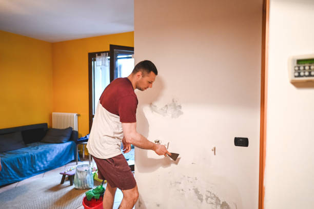 Best Mold Testing and Removal  in Wailua Homesteads, HI